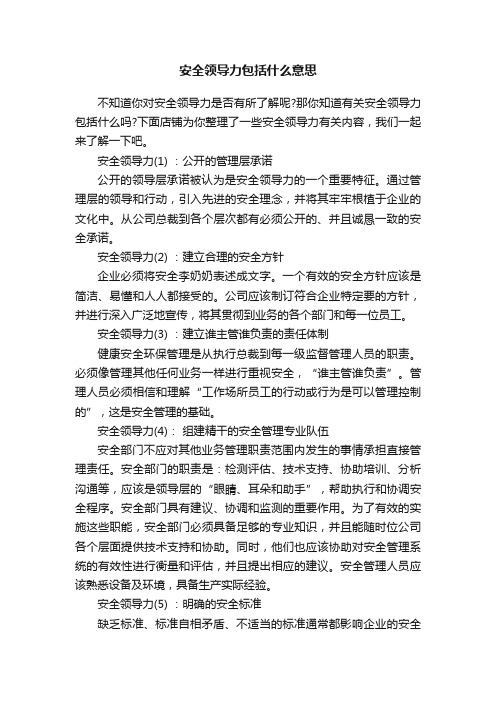 安全领导力包括什么意思