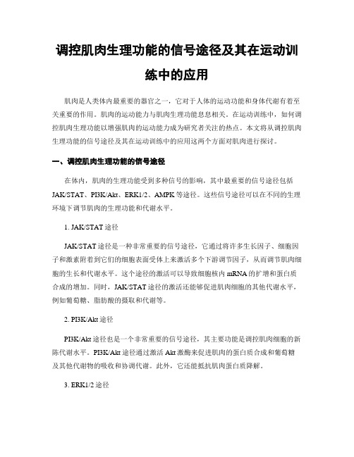 调控肌肉生理功能的信号途径及其在运动训练中的应用