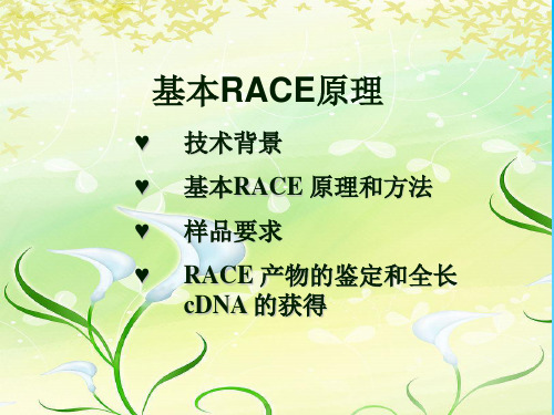 cDNA末端快速扩增技术RACE