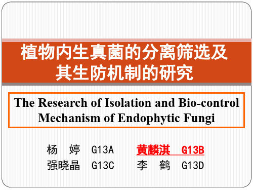 植物内生真菌的分离筛选及其生防机制的研究-abc