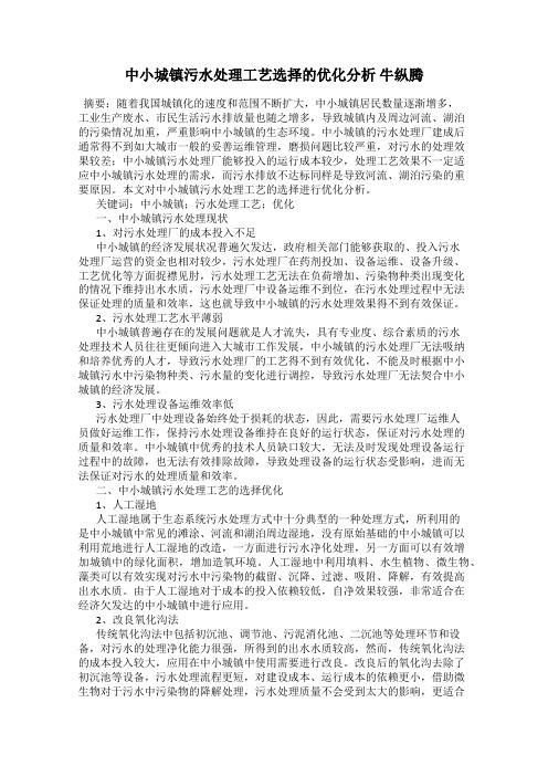 中小城镇污水处理工艺选择的优化分析 牛纵腾