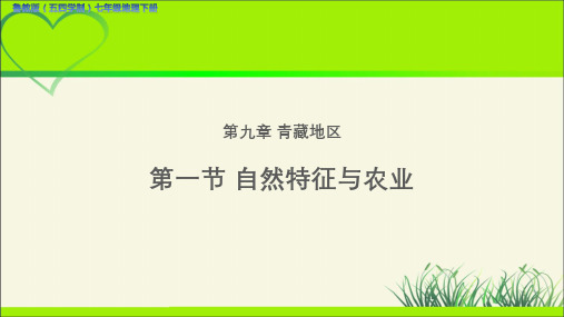 《自然特征与农业(青藏地区)》示范公开课教学课件【七年级地理下册鲁教版】