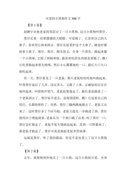 可爱的小黑狗作文300字.doc