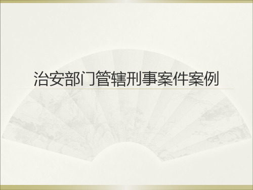 治安部门管辖刑事案件案例