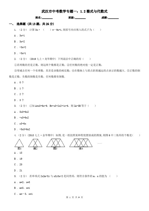 武汉市中考数学专题一：1.2整式与代数式