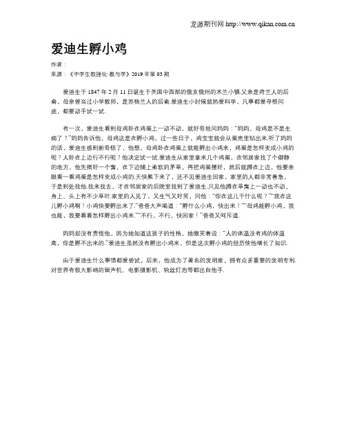 爱迪生孵小鸡