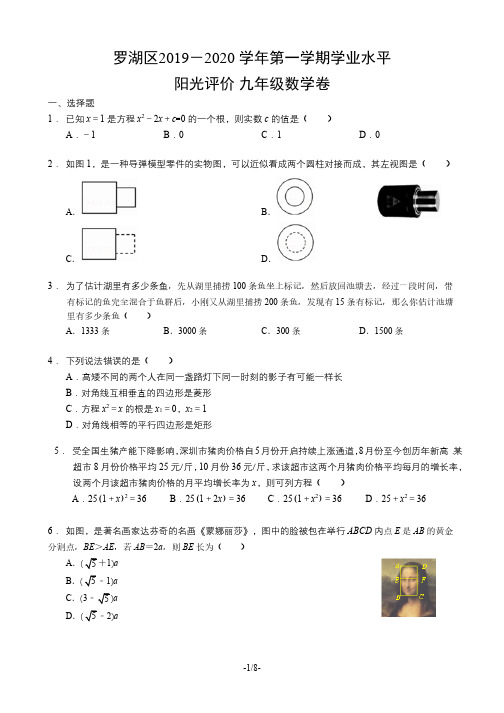 广东省深圳罗湖区2019-2020学年九年级第一学期学业水平阳光评价数学卷(PDF 有答案)