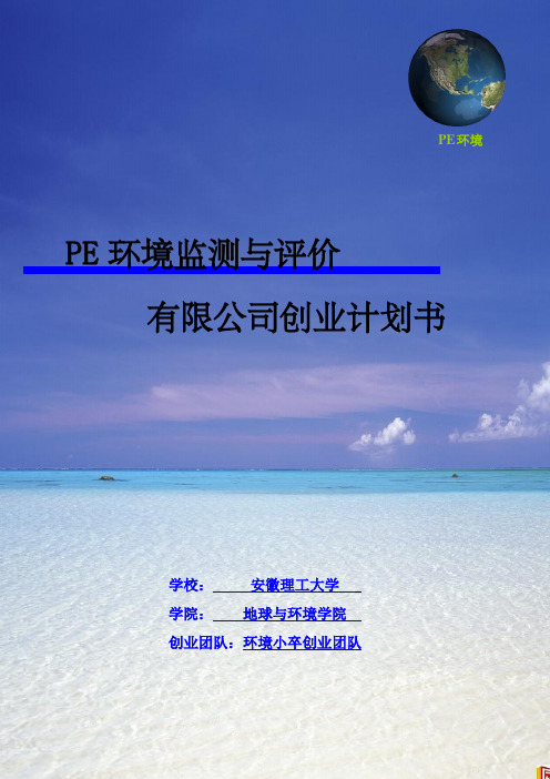 PE环境监测与评价公司创业计划书修改稿