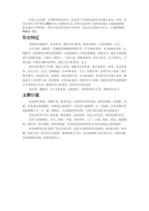 桂花