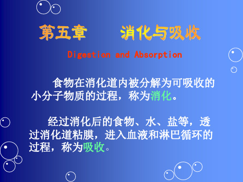 一、瘤胃和网胃内消化 (2)优选全文