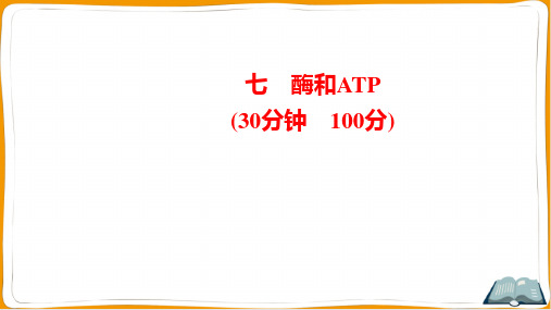 2022年人教版高中生物总复习第二部分考点培优训练 考点七酶和ATP