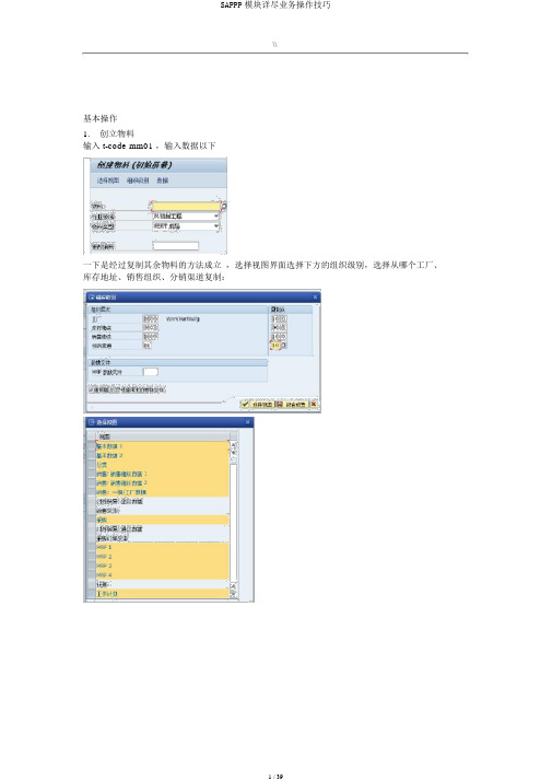 SAPPP模块详细业务操作技巧