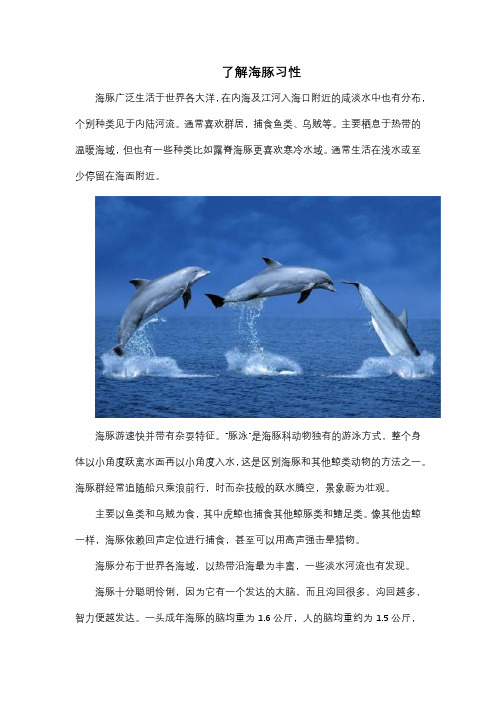 了解海豚习性