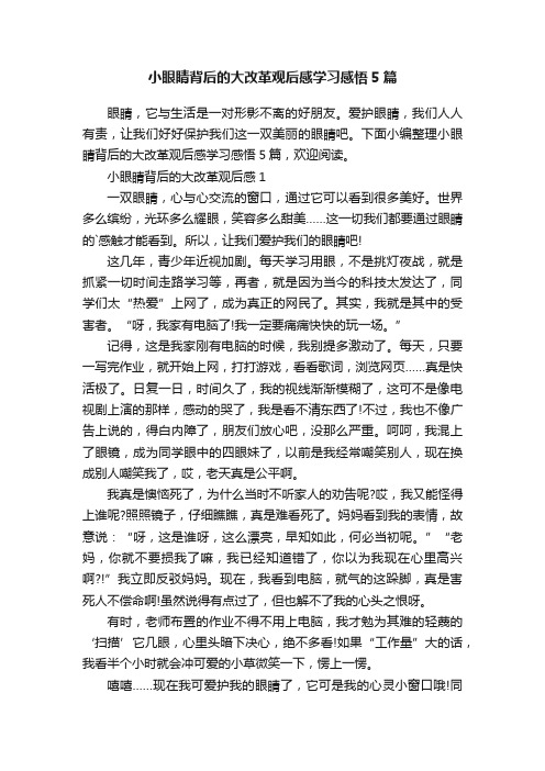 小眼睛背后的大改革观后感学习感悟5篇