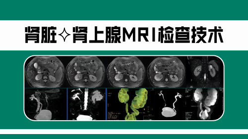 肾脏与肾上腺MRI检查技术