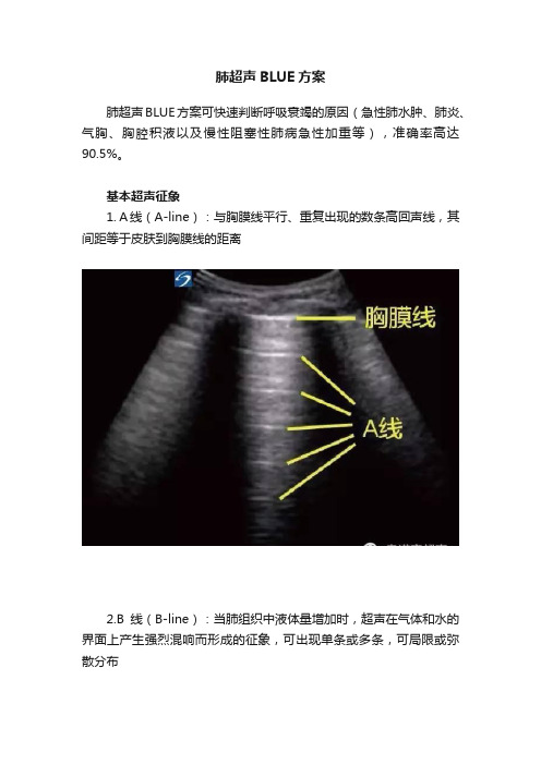 肺超声BLUE方案