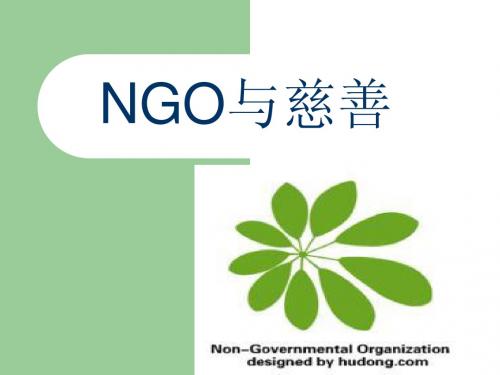 NGO与慈善 第十组