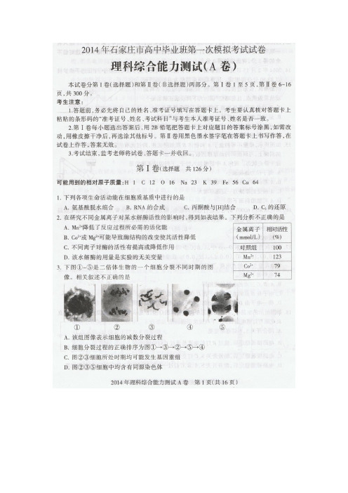 2014年石家庄市高中毕业班第一次模拟考试试卷(理科综合)