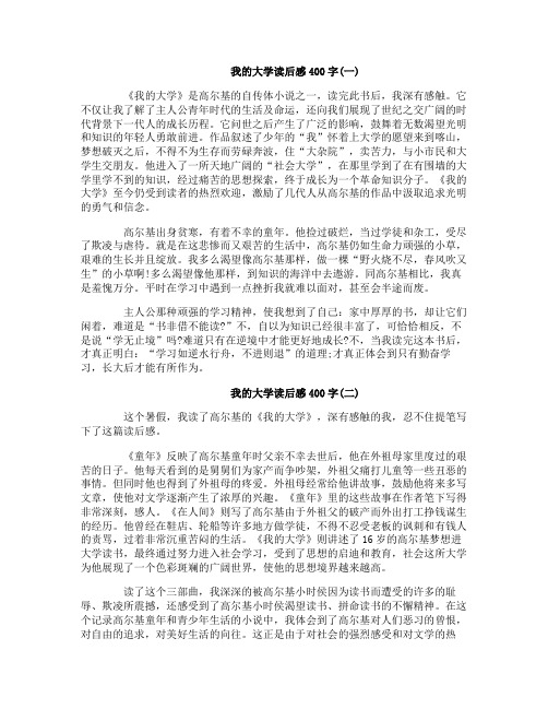 我的大学读后感400字