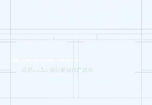 [医学]中原新源NASA整体营销推广策略