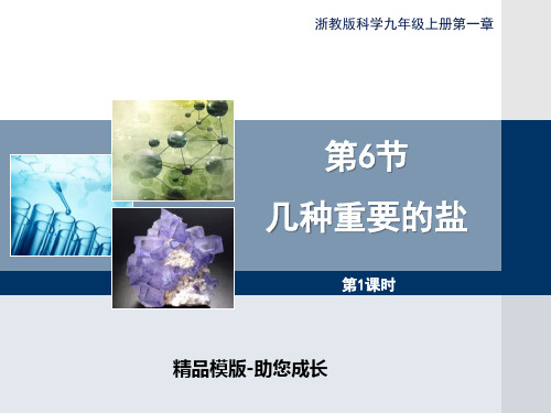 最新浙教版九年级上册科学1.6《几种重要的盐》1第一课时优秀-课件