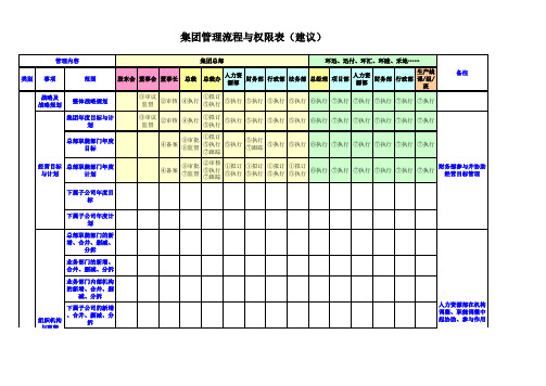 集团管理流程与权限表 - 建议