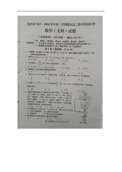 福建省龙岩市高三上学期期末考试  数学(文) 扫描版含