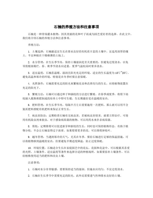 石楠的养殖方法和注意事项