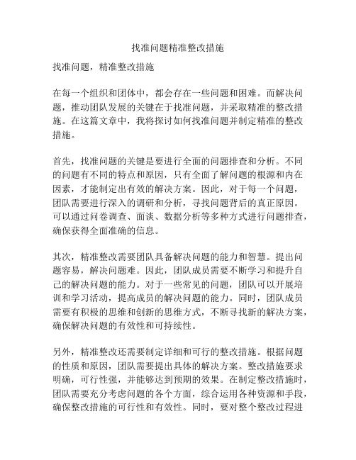 找准问题精准整改措施