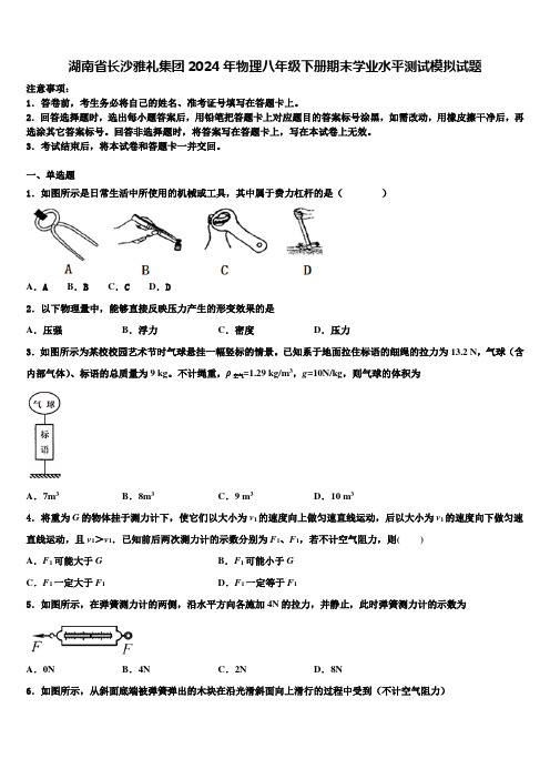 湖南省长沙雅礼集团2024年物理八年级下册期末学业水平测试模拟试题含解析