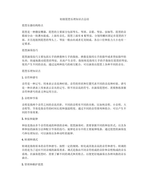 初级琵琶乐理知识点总结