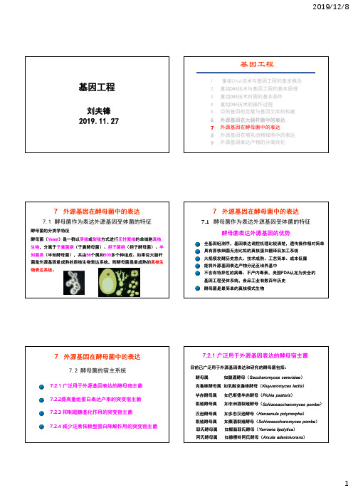 基因工程-外源基因在酵母菌中的表达