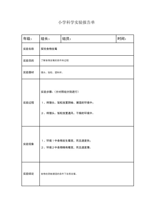 小学科学实验报告探究食物发霉