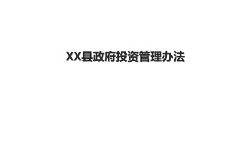 XX县政府投资管理办法