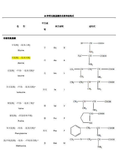 二十种氨基酸结构式