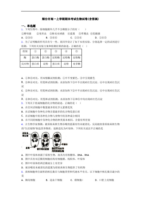 烟台市高一上学期期末考试生物试卷(含答案)