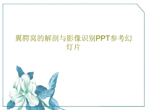 翼腭窝的解剖与影像识别PPT参考幻灯片共45页