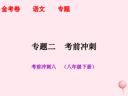 2020年广东省初中学业水平考试语文试卷课件