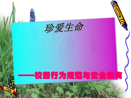 主题班会：珍爱生命——校园行为规范与安全教育ppt