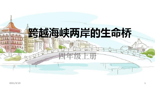 《跨越海峡两岸的生命桥》PPT课件