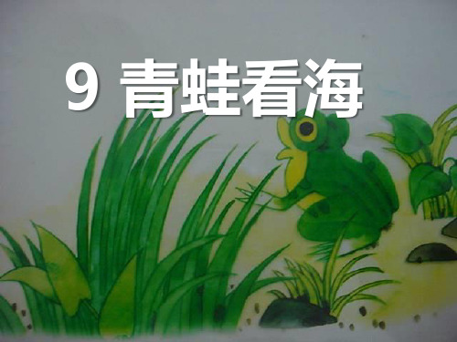 青蛙看海 教学PPT课件5