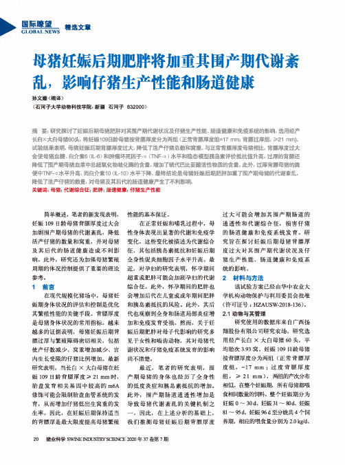 母猪妊娠后期肥胖将加重其围产期代谢紊乱,影响仔猪生产性能和肠道健康