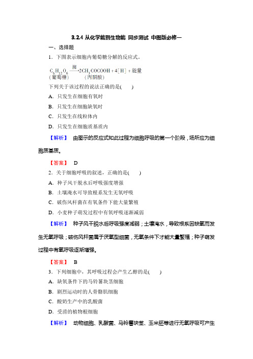 3.2.4从化学能到生物能 同步测试 中图版必修一 (1)