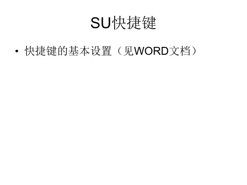 SU基本技术操作.ppt