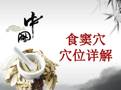 中医穴位详解:食窦穴