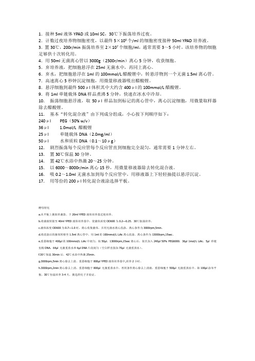 酵母菌感受态细胞的制备