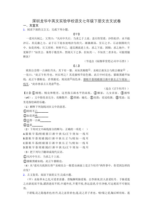 深圳龙华中英文实验学校语文七年级下册文言文试卷