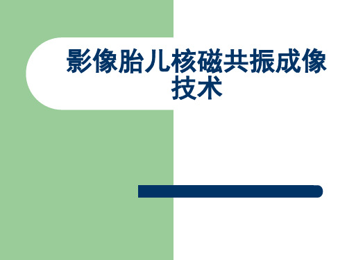 2023医学知识一影像学中胎儿磁共振成像技术