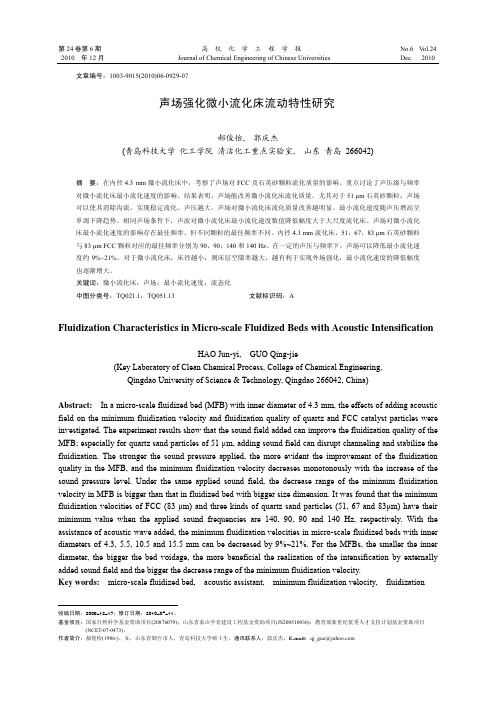 声场强化微小流化床流动特性研究