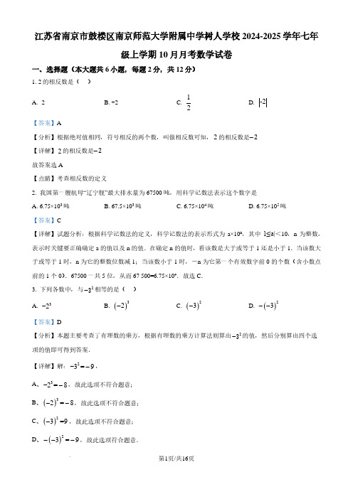 江苏省南京市鼓楼区南京师范大学附属中学树人学校24-25学年七年级上学期10月月考数学试卷(解析版)